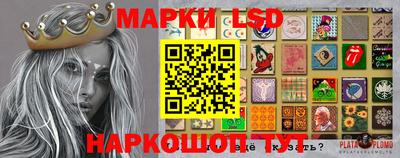 гидропоника Можайск