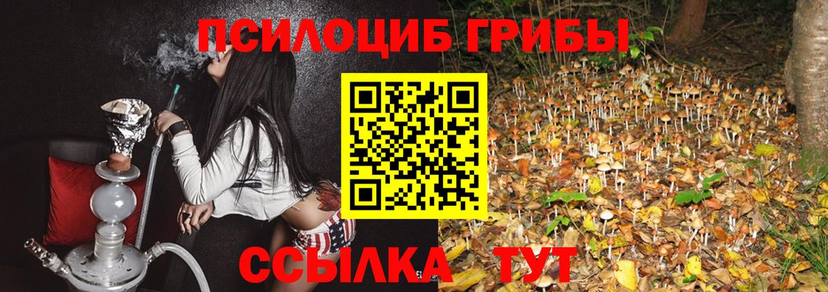 Галлюциногенные грибы Magic Shrooms Белореченск