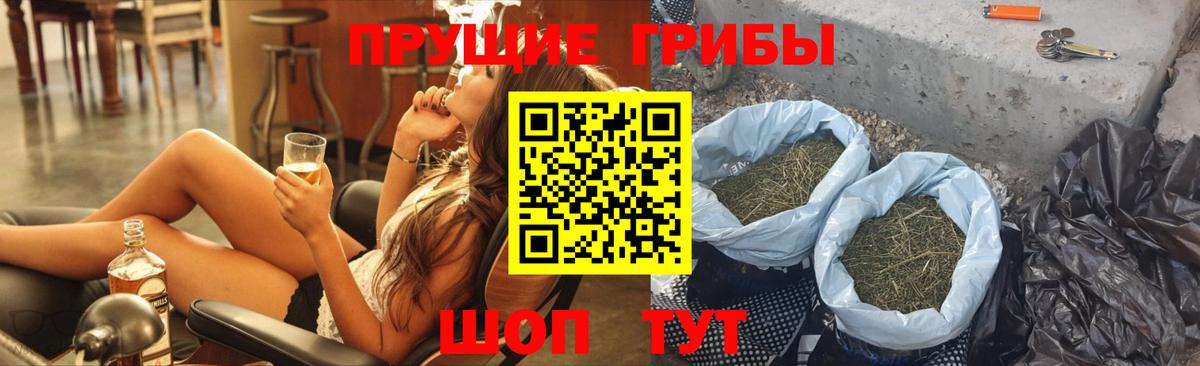 Белореченск  Псилоцибиновые грибы Psilocybe  Вход с VPN 